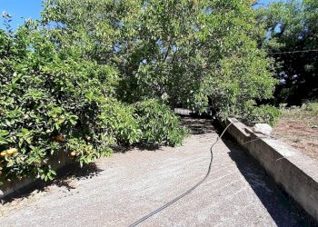 20250527_101427.jpg - Rustico Strada Provinciale 24 21, Noto - foto 24