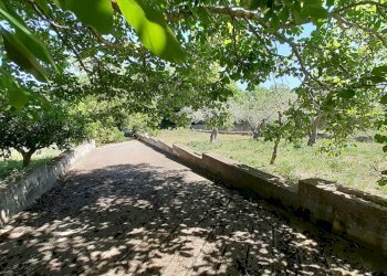 20250527_101456.jpg - Rustico Strada Provinciale 24 21, Noto - foto 27