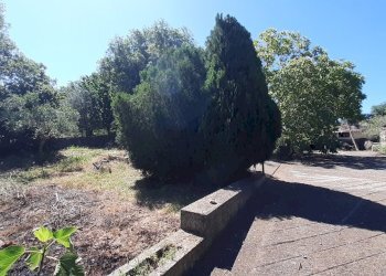 20250527_101516.jpg - Rustico Strada Provinciale 24 21, Noto - foto 28