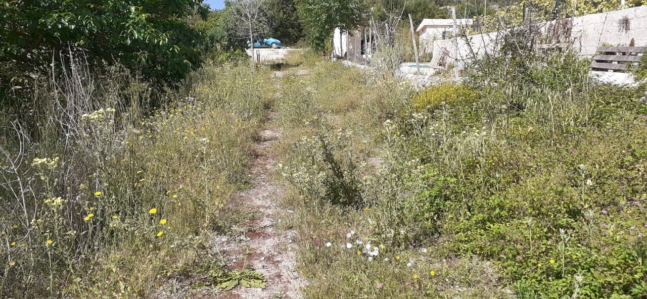 20250514_101118.jpg - Terreno agricolo Strada Statale 287, Noto - foto 3