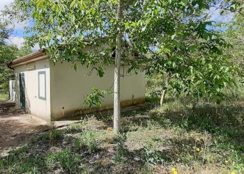 20250514_101327M.jpg - Terreno agricolo Strada Statale 287, Noto - foto 5