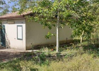 20250514_101226M.jpg - Terreno agricolo Strada Statale 287, Noto - foto 8