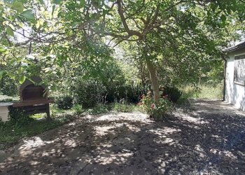 20250514_101341.jpg - Terreno agricolo Strada Statale 287, Noto - foto 17