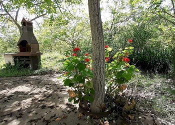 20250514_101358.jpg - Terreno agricolo Strada Statale 287, Noto - foto 18