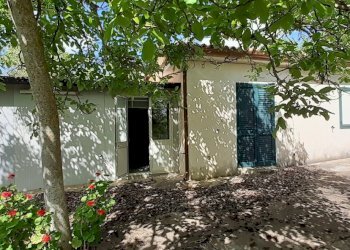 20250514_101958.jpg - Terreno agricolo Strada Statale 287, Noto - foto 19