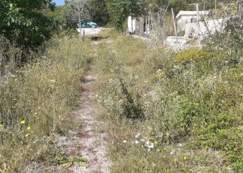 20250514_101118.jpg - Villa Strada Statale 287, Noto - foto 11