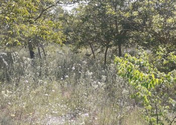 20250514_101221.jpg - Villa Strada Statale 287, Noto - foto 22