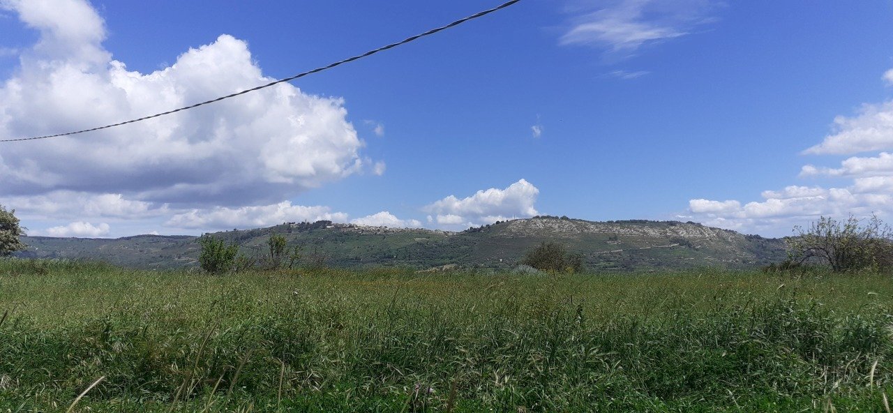 20250424_120201.jpg - Agricultural land c.da Poi, Palazzolo Acreide - photo 2