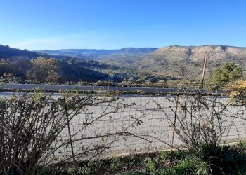 20241217_151023.jpg - Terreno agricolo Via  Roma, Palazzolo Acreide - foto 19