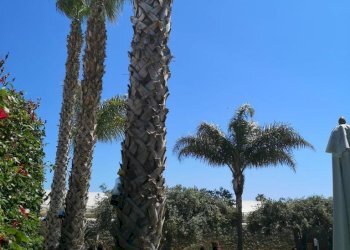 WhatsApp Image 2025-02-28 at 19.07.11 (2).jpeg - Villa Viale delle Rose 41, Scicli - foto 27