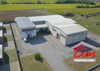 Locale commerciale in vendita a Caltignaga - Locale Commerciale Strada statale 229 del Lago d'Ortatrada provincial sn, Caltignaga - foto 17