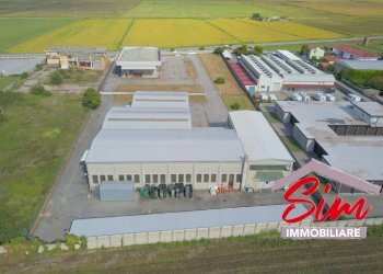 Locale commerciale in vendita a Caltignaga - Locale Commerciale Strada statale 229 del Lago d'Ortatrada provincial sn, Caltignaga - foto 22