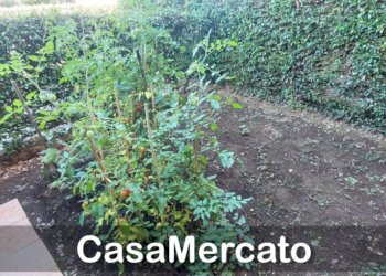 zz5.jpg - Bilocale Rocca di Papa - foto 19