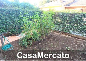 zz7.jpg - Bilocale Rocca di Papa - foto 20