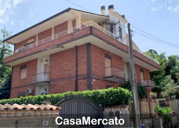 1.jpg - Appartamento Viale dei Pini, Monte Compatri - foto 1