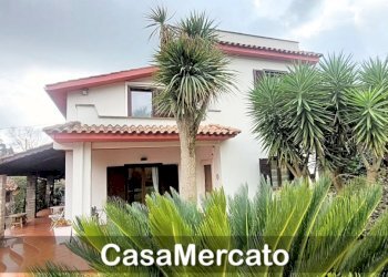 3.jpg - Villa Velletri - photo 3