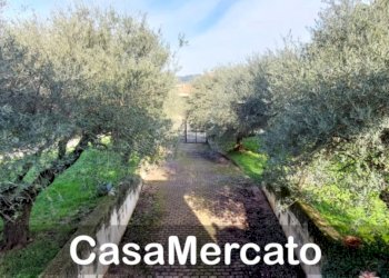 8.jpg - Villa Via dei Gerani, Rocca di Papa - foto 6