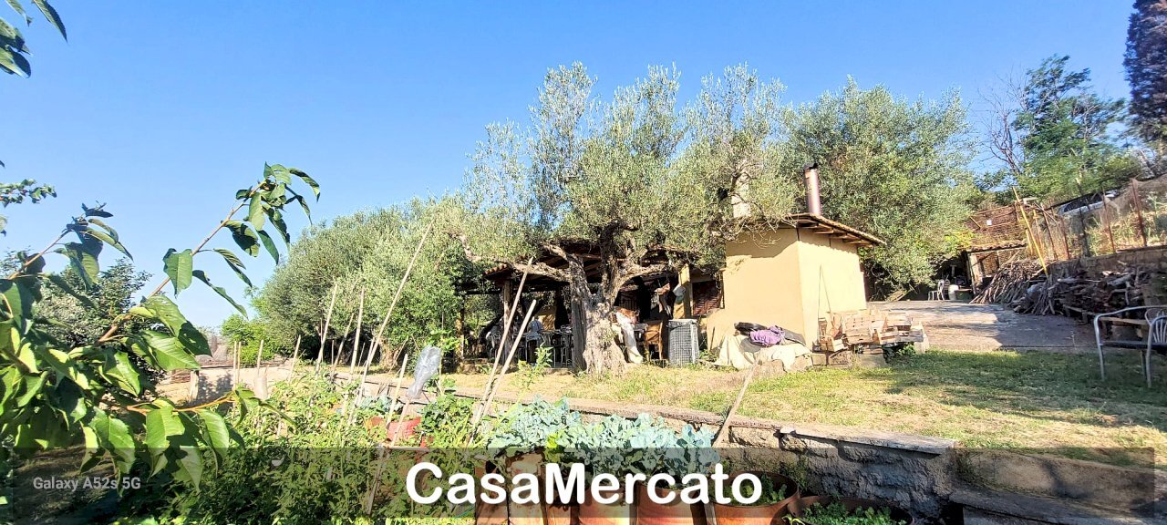 3.jpg - Rustico Via del Tuscolo, Grottaferrata - foto 3