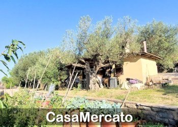 3.jpg - Rustic Via del Tuscolo, Grottaferrata - photo 3