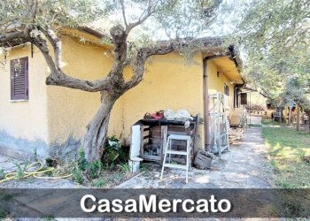 4.jpg - Rustic Via del Tuscolo, Grottaferrata - photo 4