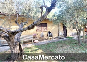 6.jpg - Rustic Via del Tuscolo, Grottaferrata - photo 5