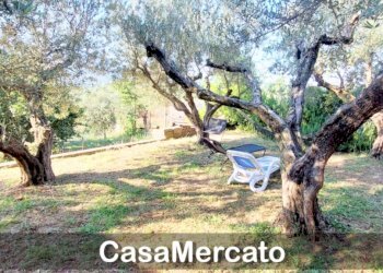 w1.jpg - Rustic Via del Tuscolo, Grottaferrata - photo 15