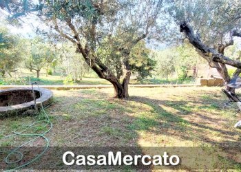 w2.jpg - Rustic Via del Tuscolo, Grottaferrata - photo 16