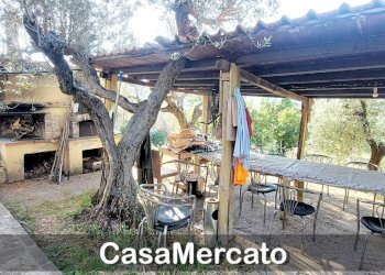 w4.jpg - Rustic Via del Tuscolo, Grottaferrata - photo 17