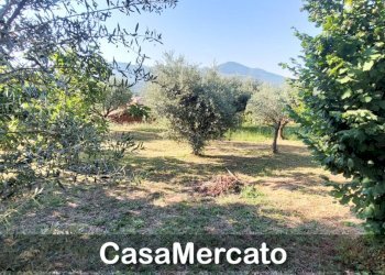 w5.jpg - Rustic Via del Tuscolo, Grottaferrata - photo 18