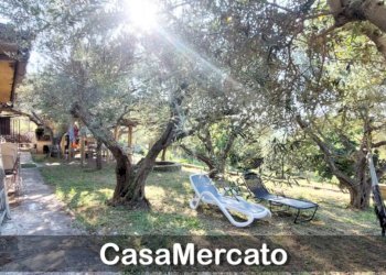 w14.jpg - Rustic Via del Tuscolo, Grottaferrata - photo 20