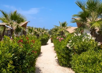 resort-9.jpg - Stabilimento balneare Grottammare - foto 4