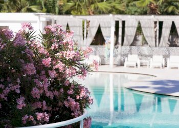 GP1_8098.jpg - Stabilimento balneare Grottammare - foto 11