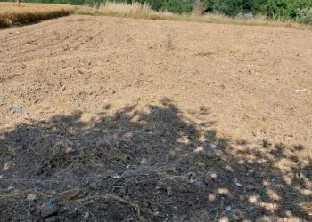 18 OFFIDA - CASA INDIPENDENTE DA RISTRUTTURARE.jpe - Independent house Offida - photo 4