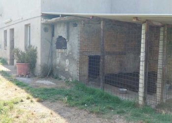 02 OFFIDA - CASA INDIPENDENTE DA RISTRUTTURARE.jpe - Independent house Offida - photo 8