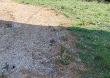 08 OFFIDA - CASA INDIPENDENTE DA RISTRUTTURARE.jpe - Independent house Offida - photo 16