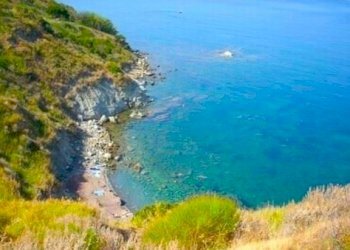 agropoli_.jpg - Non Alimentare Agropoli - foto 2