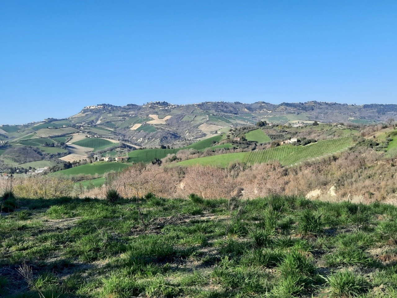 01 RIPATRANSONE - RUDERE CON TERRENO E VISTA PANOR - Casale cantina Cocci Grifoni, Ripatransone - photo 1