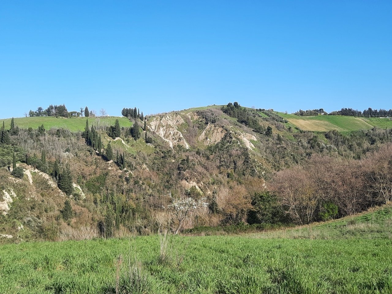 02 RIPATRANSONE - RUDERE CON TERRENO E VISTA PANOR - Casale cantina Cocci Grifoni, Ripatransone - photo 2