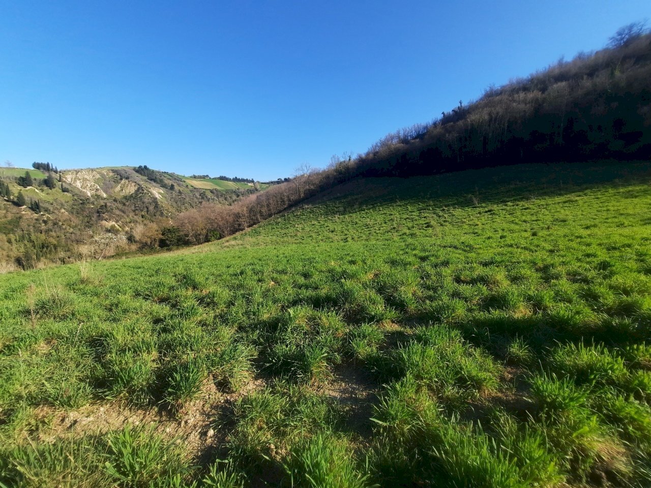03 RIPATRANSONE - RUDERE CON TERRENO E VISTA PANOR - Casale cantina Cocci Grifoni, Ripatransone - photo 3