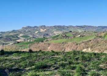 01 RIPATRANSONE - RUDERE CON TERRENO E VISTA PANOR - Casale cantina Cocci Grifoni, Ripatransone - photo 1