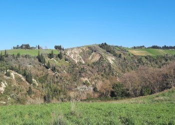 02 RIPATRANSONE - RUDERE CON TERRENO E VISTA PANOR - Casale cantina Cocci Grifoni, Ripatransone - photo 2