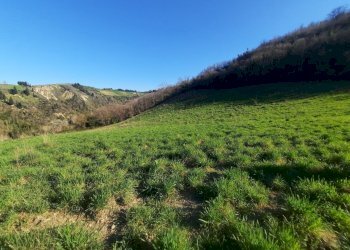 03 RIPATRANSONE - RUDERE CON TERRENO E VISTA PANOR - Casale cantina Cocci Grifoni, Ripatransone - photo 3