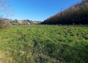 06 RIPATRANSONE - RUDERE CON TERRENO E VISTA PANOR - Casale cantina Cocci Grifoni, Ripatransone - photo 6