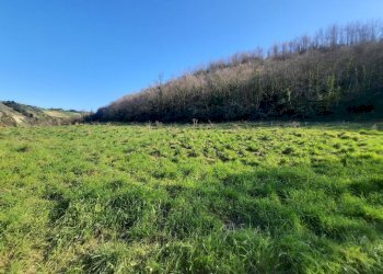07 RIPATRANSONE - RUDERE CON TERRENO E VISTA PANOR - Casale cantina Cocci Grifoni, Ripatransone - photo 7
