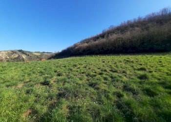 08 RIPATRANSONE - RUDERE CON TERRENO E VISTA PANOR - Casale cantina Cocci Grifoni, Ripatransone - photo 8