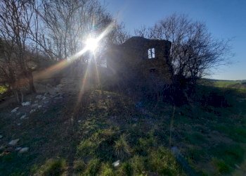 11 RIPATRANSONE - RUDERE CON TERRENO E VISTA PANOR - Casale cantina Cocci Grifoni, Ripatransone - photo 10