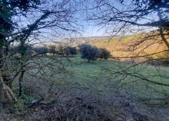 12 RIPATRANSONE - RUDERE CON TERRENO E VISTA PANOR - Casale cantina Cocci Grifoni, Ripatransone - photo 11