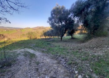 15 RIPATRANSONE - RUDERE CON TERRENO E VISTA PANOR - Casale cantina Cocci Grifoni, Ripatransone - photo 14