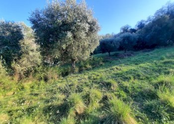 16 RIPATRANSONE - RUDERE CON TERRENO E VISTA PANOR - Casale cantina Cocci Grifoni, Ripatransone - photo 15