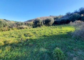 17 RIPATRANSONE - RUDERE CON TERRENO E VISTA PANOR - Casale cantina Cocci Grifoni, Ripatransone - photo 16